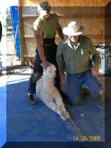 100_0750_281x375.JPG (20478 bytes)