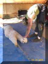 100_0752_281x375.JPG (19531 bytes)